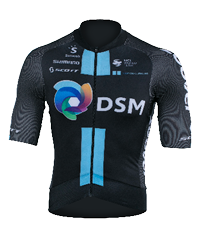 Maglia Squadra TEAM DSM